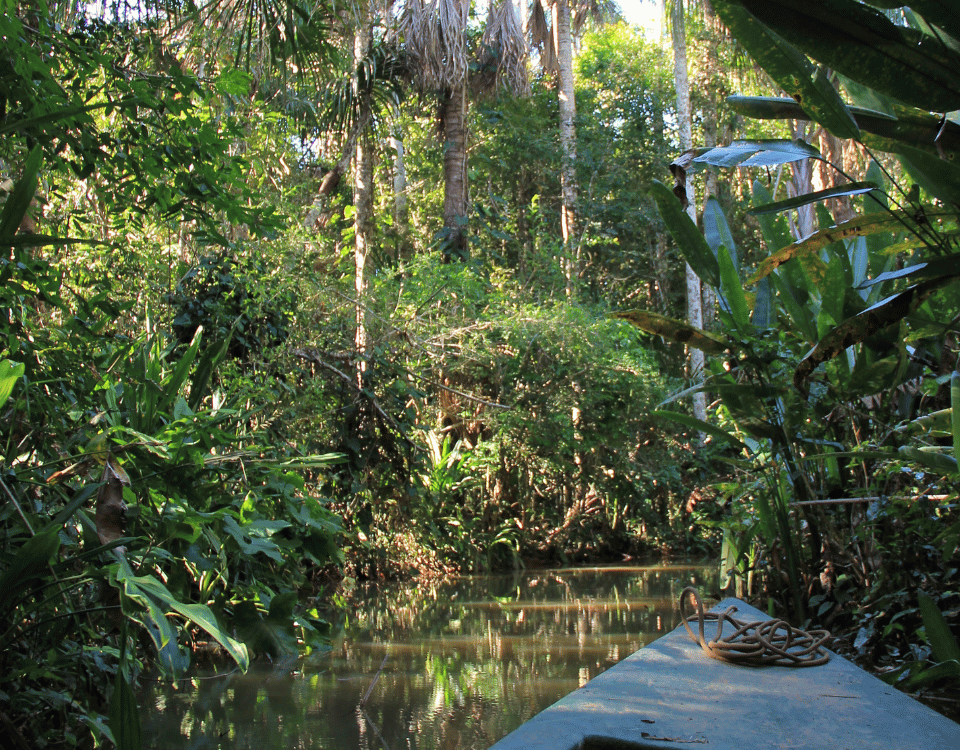 Navigation en pirogue sur une rivière d'Amazonie au Pérou, activité proposée par Christophe le voyagiste sur mesure