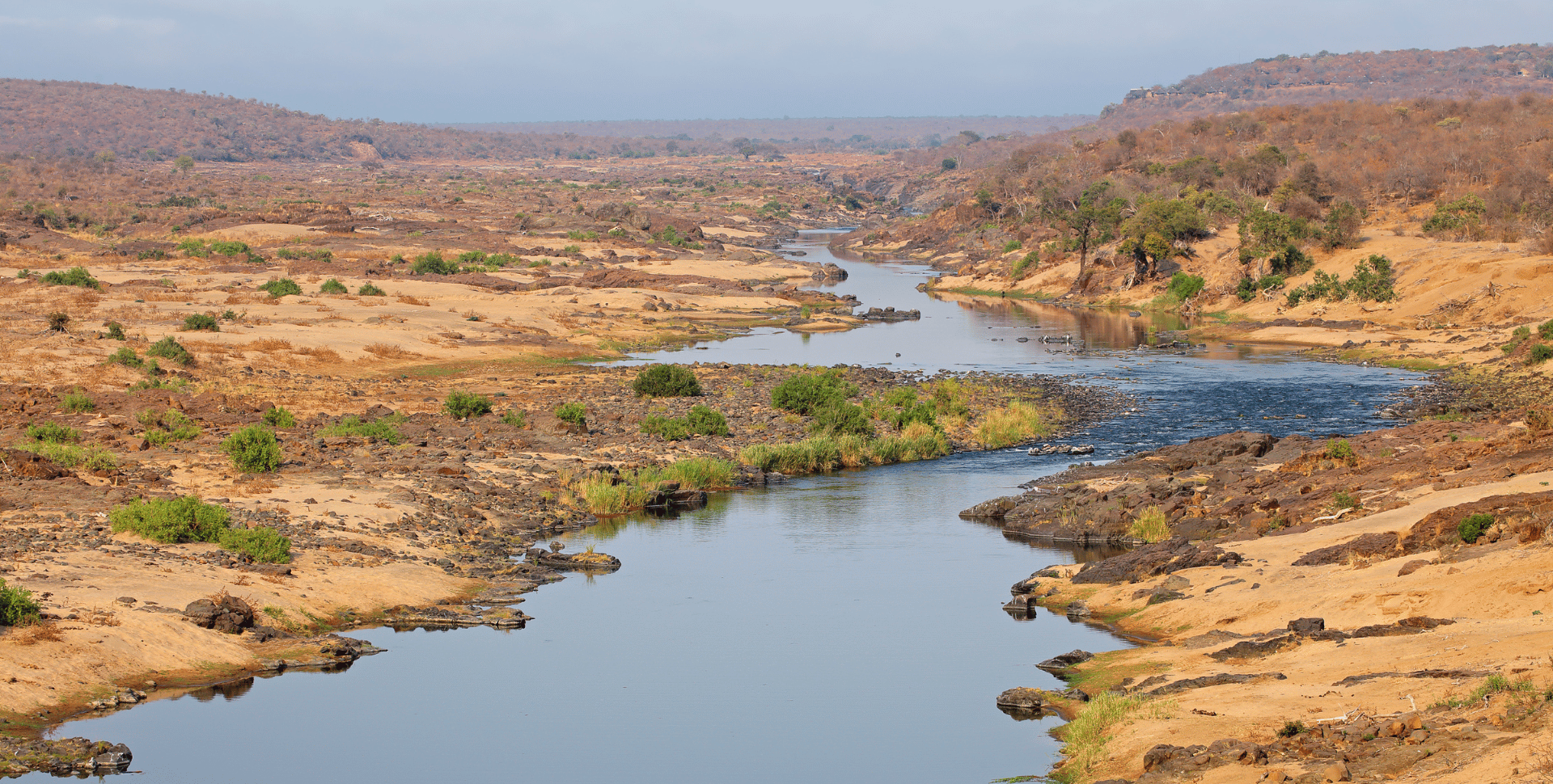 Paysages d'Afrique du Sud : panorama du bush dans le Kruger